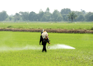 Pesticides reduce nutrient uptake into your vegetables