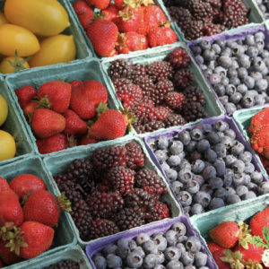 If the nutrients are not in the soil, they are not in your vegetables